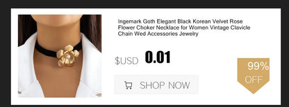 Metal Belt Choker