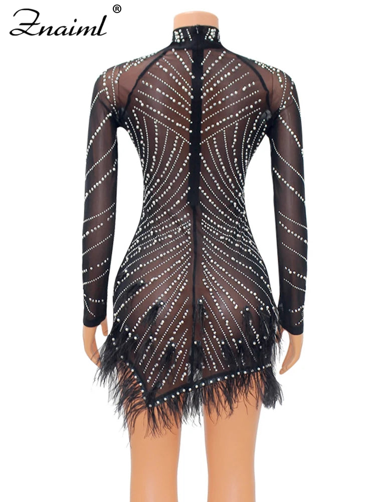 Sheer Mesh Mini Dress