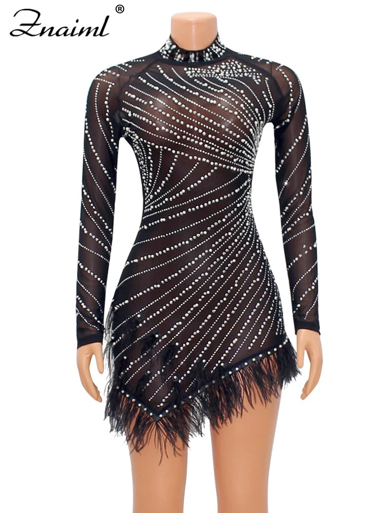 Sheer Mesh Mini Dress