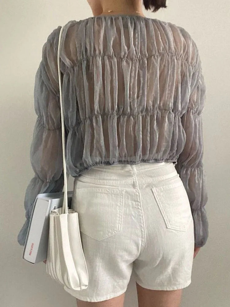 Pleated Casual Blouse