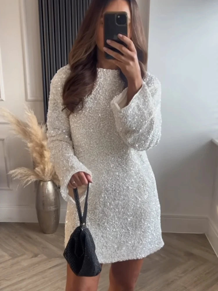 Shining Sequin Mini Dress